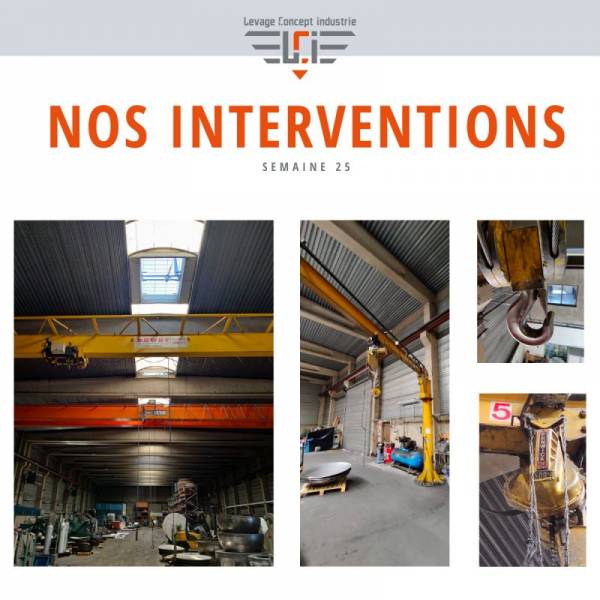 Entretien, maintenance Pont Roulant et Potences en région Rhône-Alpes